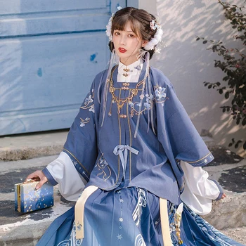 Novo Hanfu Oblačila Za Ženske Odraslih Ming Dinastija Princesa Elegantno Kostumi Folk Dance Fazi Oblačila Modra Hanfu bo Ustrezala DQL5106